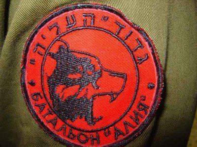 В Славянск прибыли добровольцы из Израиля