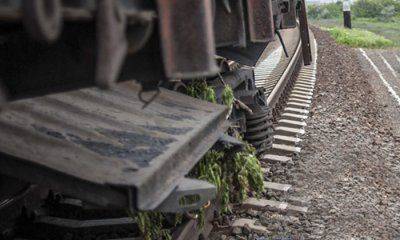 Махно отдыхает