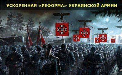 Хазаро-фашистская хунта заботится о своих псах...