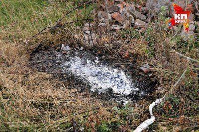 Игорь Стрелков: Такие боеприпасы я не встречал ни в первую, ни во вторую чеченскую войну (видео)