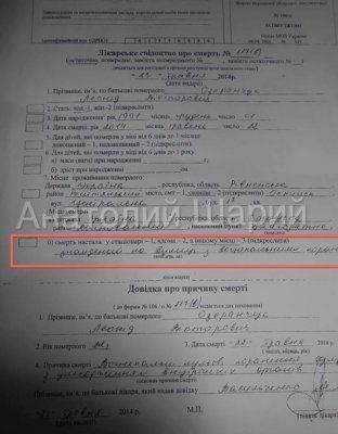 Анатолий Шарий: Погибшие под Волновахой военнослужащие… умерли? (документы)