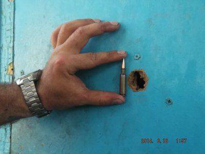 АИСТЫ В СЕМЕНОВКЕ. ХОРОШИЙ ЗНАК