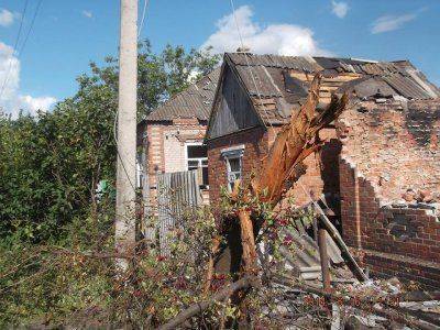 АИСТЫ В СЕМЕНОВКЕ. ХОРОШИЙ ЗНАК