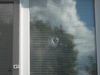 АИСТЫ В СЕМЕНОВКЕ. ХОРОШИЙ ЗНАК