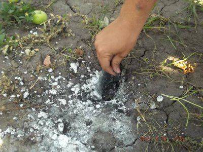 АИСТЫ В СЕМЕНОВКЕ. ХОРОШИЙ ЗНАК