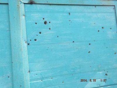 АИСТЫ В СЕМЕНОВКЕ. ХОРОШИЙ ЗНАК