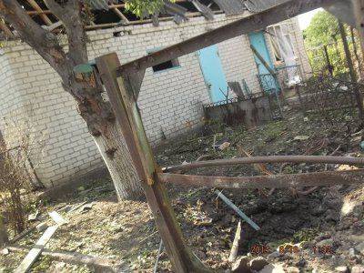 АИСТЫ В СЕМЕНОВКЕ. ХОРОШИЙ ЗНАК