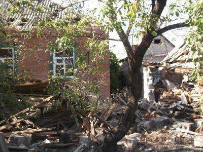 АИСТЫ В СЕМЕНОВКЕ. ХОРОШИЙ ЗНАК