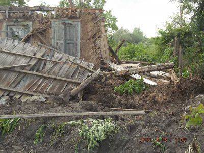 АИСТЫ В СЕМЕНОВКЕ. ХОРОШИЙ ЗНАК