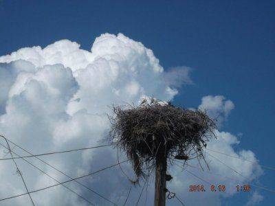 Обстановка в Новороссии на 18.06.2014