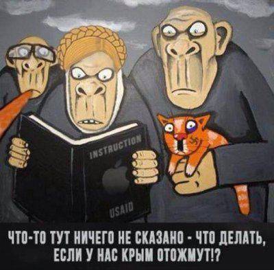 Изнасилование мозга