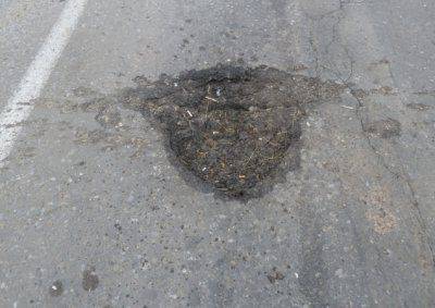 Военнопленные из элитного батальона «Айдар» сдали свою командиршу Пулю