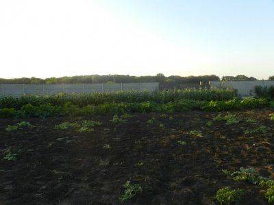 Сводки событий от Стрелкова Игоря Ивановича от 1.07.2014 (ОБНОВЛЯЕТСЯ)