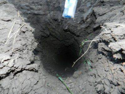 Сводки событий от Стрелкова Игоря Ивановича от 1.07.2014 (ОБНОВЛЯЕТСЯ)