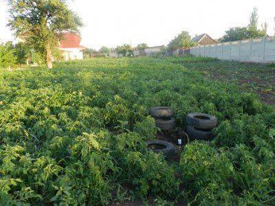 Сводки событий от Стрелкова Игоря Ивановича от 1.07.2014 (ОБНОВЛЯЕТСЯ)