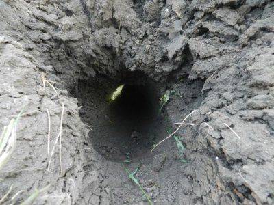 Сводки событий от Стрелкова Игоря Ивановича от 1.07.2014 (ОБНОВЛЯЕТСЯ)