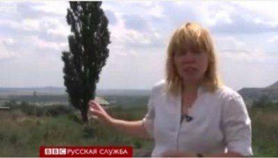 Репортаж с рассказами очевидцев крушения Boeing не соответствует редакционным ценностям BBC