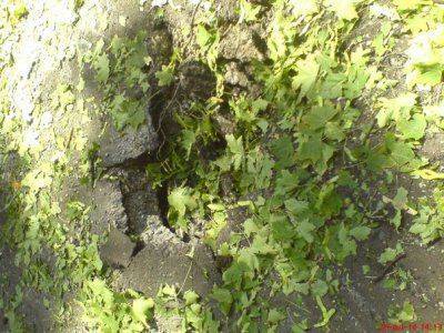 Сводки от Стрелкова 26 июля 2014 года