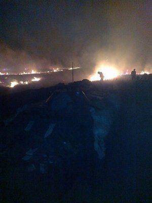 Сводки от ополчения Новороссии за 29 июля 2014