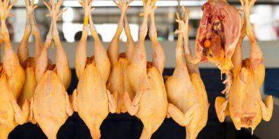 Мясо из США и фрукты из Европы окажутся под запретом