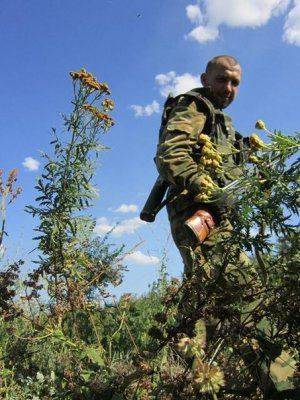 Сводки от ополчения Новороссии за 31 июля 2011