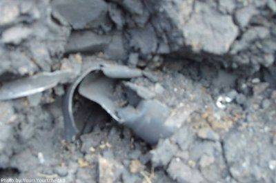 Сводки от ополчения Новороссии за 5 августа 2014