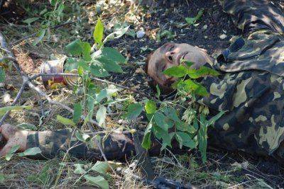 Сводки от ополчения Новороссии за 8 августа 2014