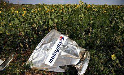 Катастрофа «Боинга» в небе Украины является операцией ЦРУ