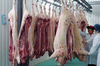 Европа - Латинской Америке: Большая просьба Россию не кормить