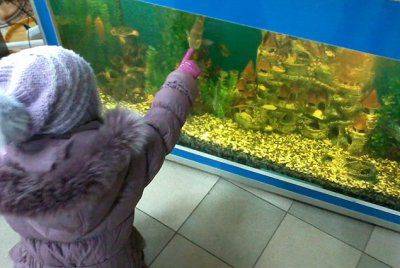 Маруся @mara_beyka, блогер: «Славянск «освобожден» от смеха и радости»