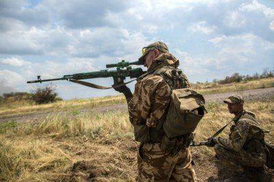 Опять волки