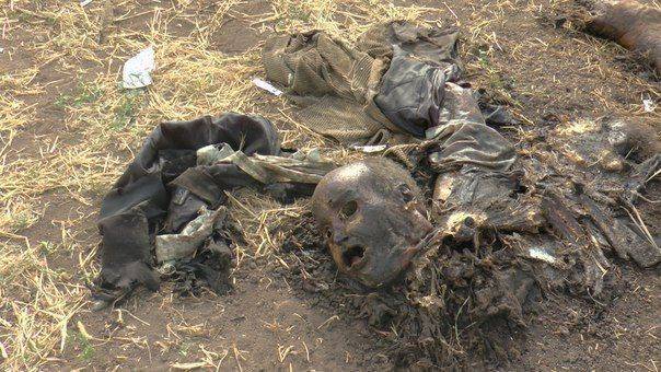 Сводки от ополчения Новороссии за 3  сентября 2014