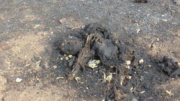 Сводки от ополчения Новороссии за 3  сентября 2014