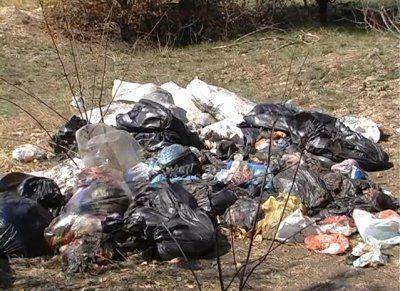 Более тонны ампутированных конечностей нашли в лесу Запорожской области