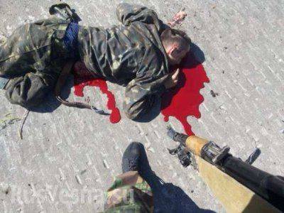 Батальон «Айдар» разгромлен под поселком Счастье, ЛНР (+18 фото, видео)