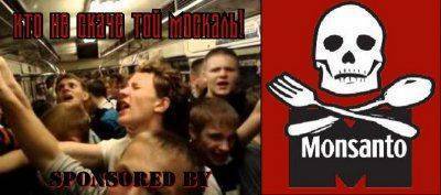 ГМО-АСПЕКТЫ УКРАИНСКОЙ «РЕВОЛЮЦИИ»: «МОНСАНТО» НА УКРАИНЕ