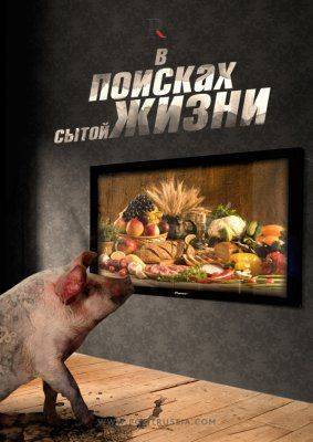 Почему поравалильщики не спешат уезжать из России