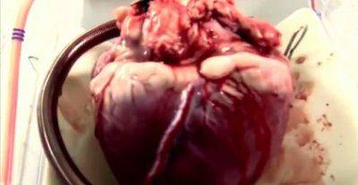 Жертвоприношение Украины