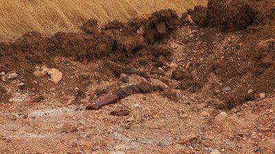 О преступлениях украинских военных и карателей: от неконвенционного оружия до торговли органами