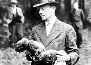 Украинцы омайданены до полной неадекватности