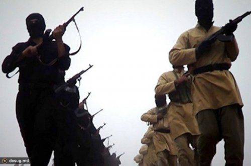 Лидеры банды убийц ГТА тренировали боевиков для ИГИЛ