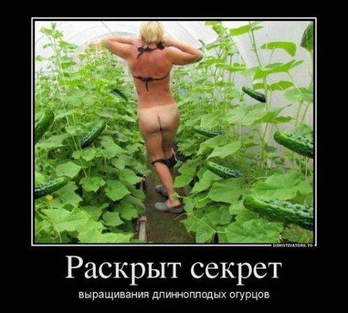 Смеемся от души