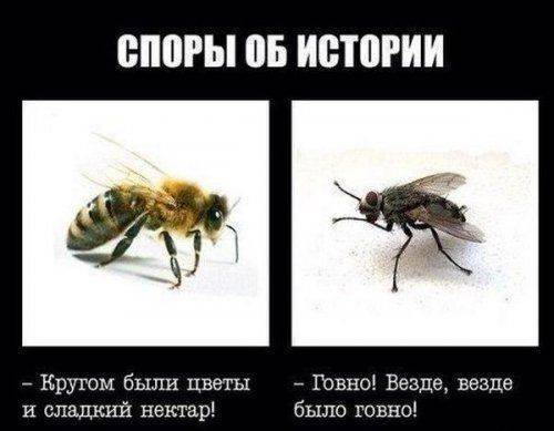 Сынок Алешенька с «Эха Москвы»