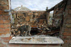 Сводки от ополчения Новороссии 2 ноября 2014 года