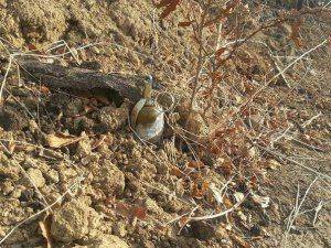 Сводки от ополчения Новороссии 4 ноября 2014 года