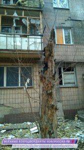 Сводки от ополчения Новороссии  11 ноября 2014 года