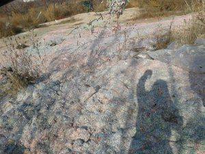 Сводки от ополчения Новороссии  19  ноября 2014 года