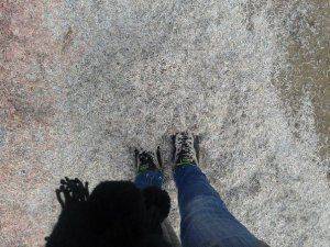 Сводки от ополчения Новороссии  19  ноября 2014 года