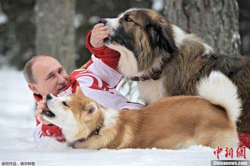 Морозный рассвет