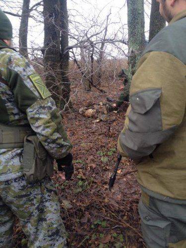 Сводки от ополчения Новороссии  24 декабря 2014 год